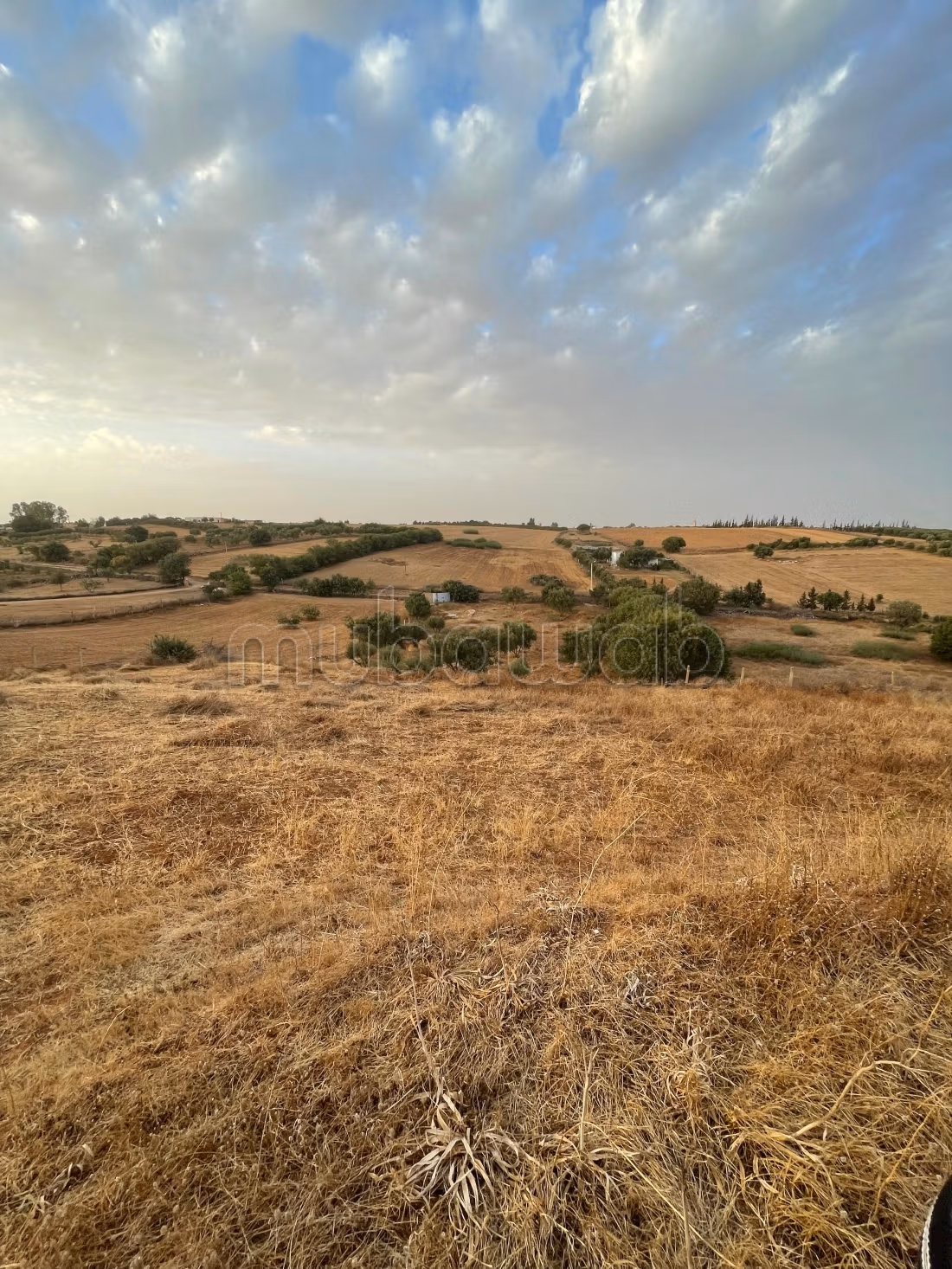 Terrain agricole a vendre 5300m²