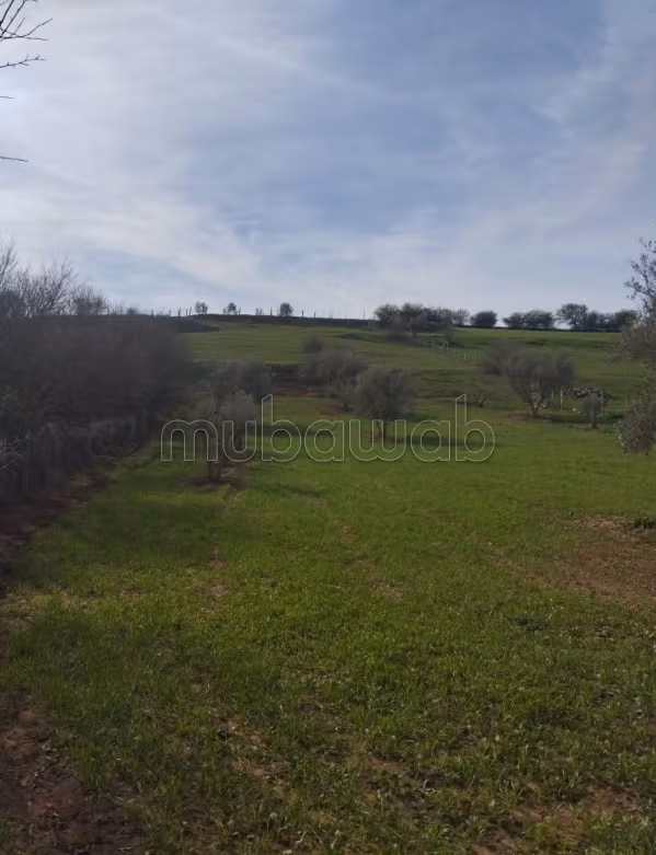 Agrarische grond te koop 5300m²
