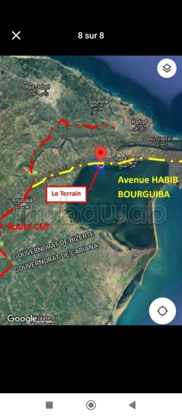 Opportunità di investimento da non perdere