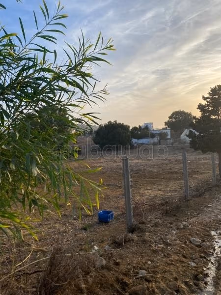 Terrain en vente à Ksar Sghir. 
Surface de 600 m²