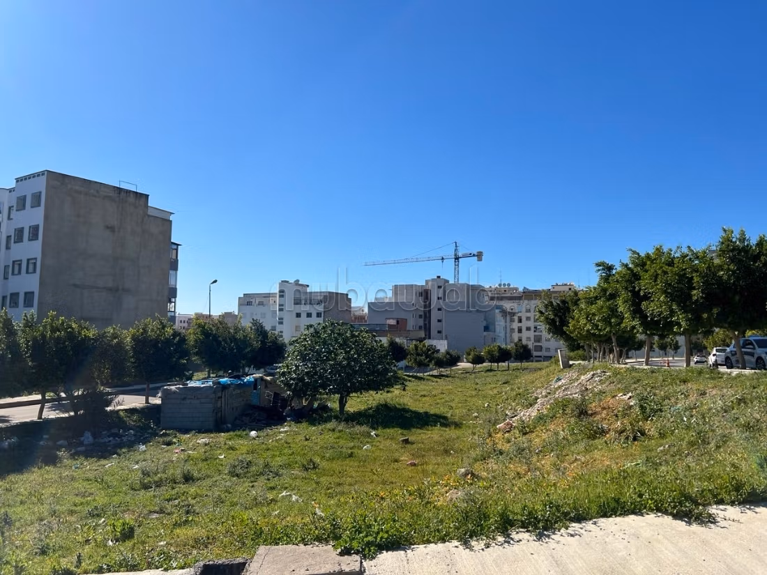Vente terrain à Moujahidine. Surface totale 240 m²