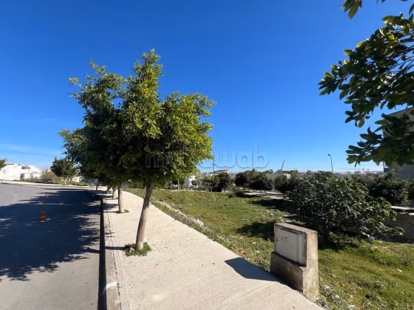 Bonito terreno en venta en Moujahidine. Superficie 240 m²