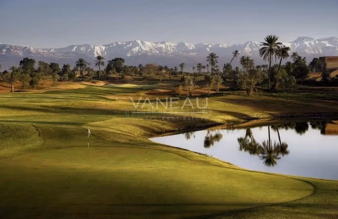 Terrain Front van Golf Amelkis