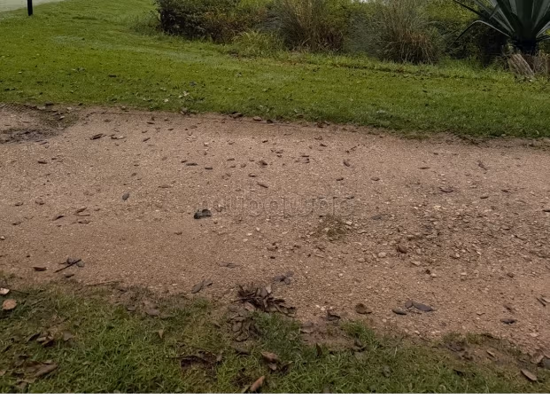Dos lotes de terreno en la avenida Mehdi ben Barka