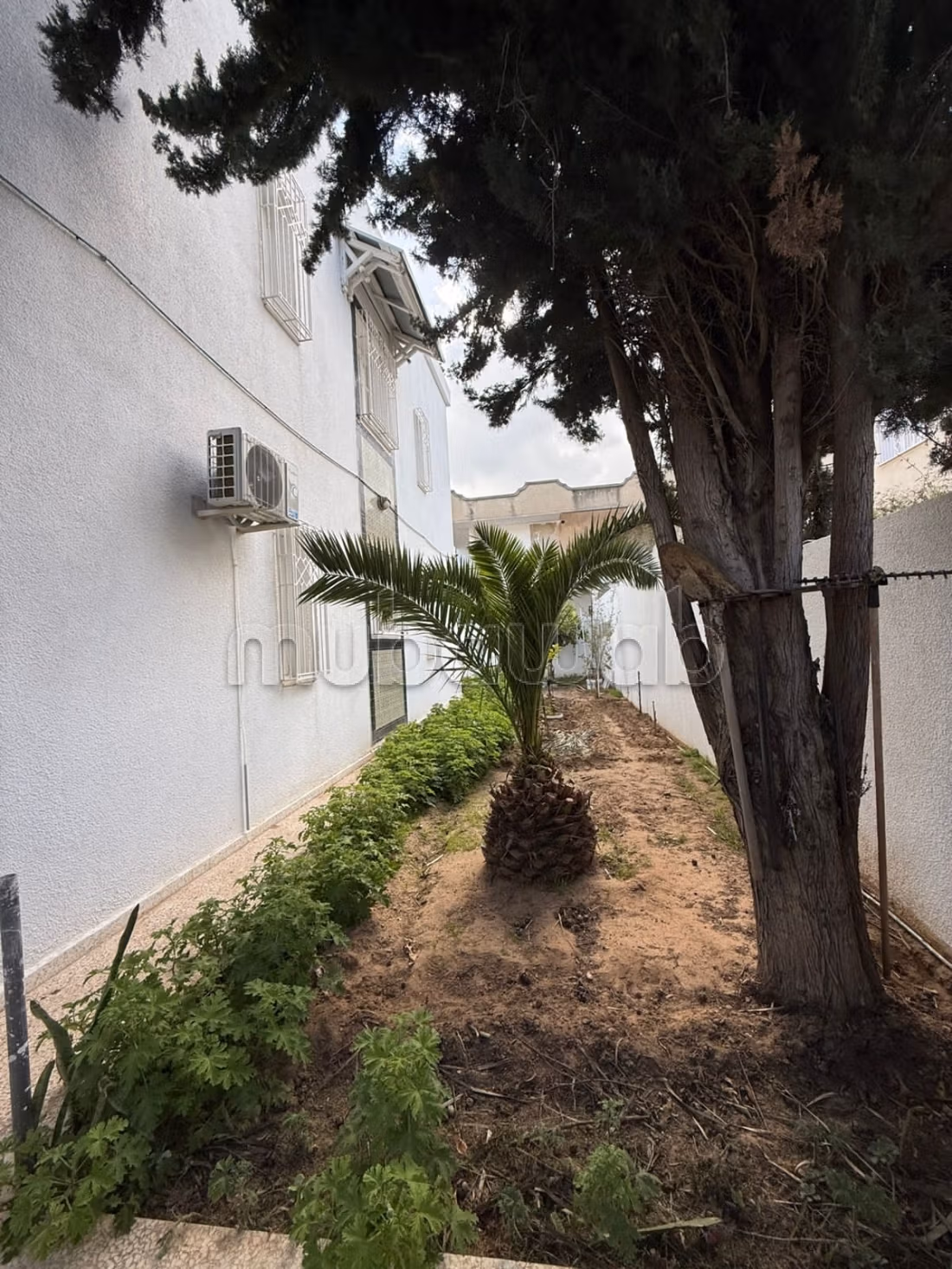 Villa per vacanze a Baraket Essahel, Hammamet Sud