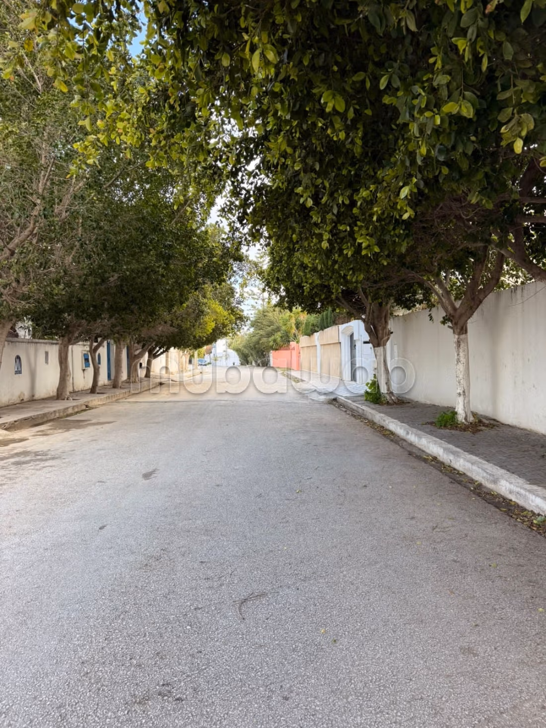 Villa per vacanze a Baraket Essahel, Hammamet Sud