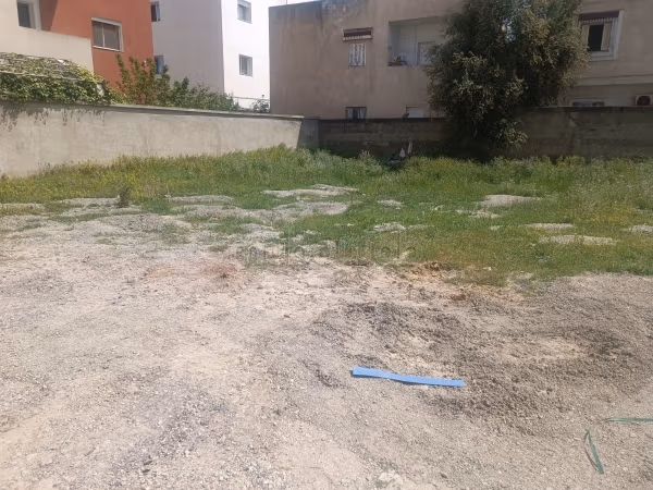 Terrain à vendre à Cité elwafa 
ariena soghra pour