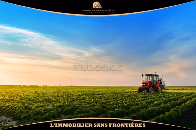 Granja agrícola titulada en venta – 11 Ha 20 Ares – 7 títulos de propiedad – Shoul, Salé Rabat