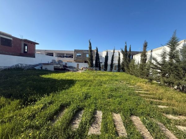 Des terrains à cité Riadh