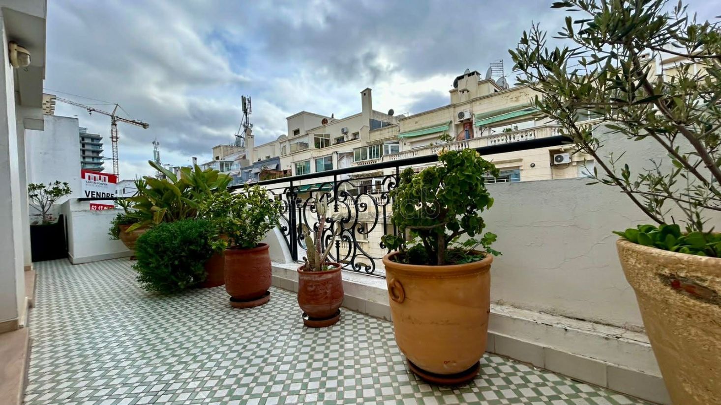 THREE beautiful duplex 4 rooms empty root