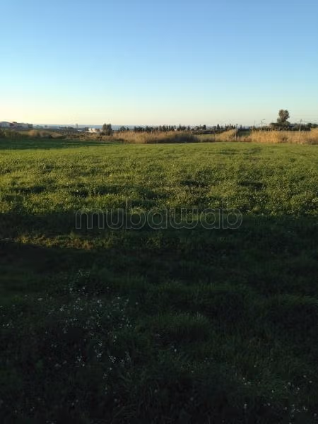 Terreno titulado de 3 hectáreas en venta en Asilah