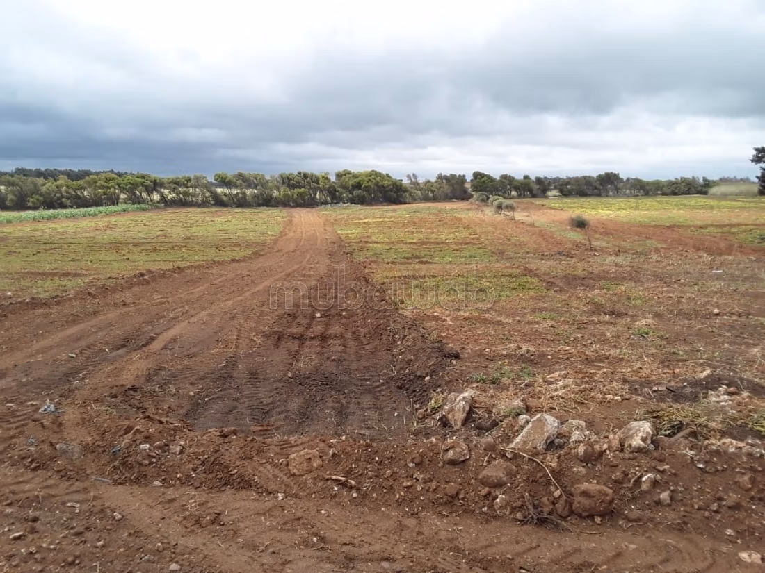 Land for purchase. Dimension 300 m²