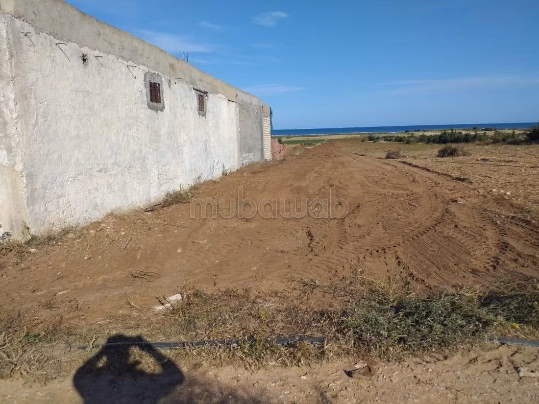 Land for purchase. Dimension 300 m²