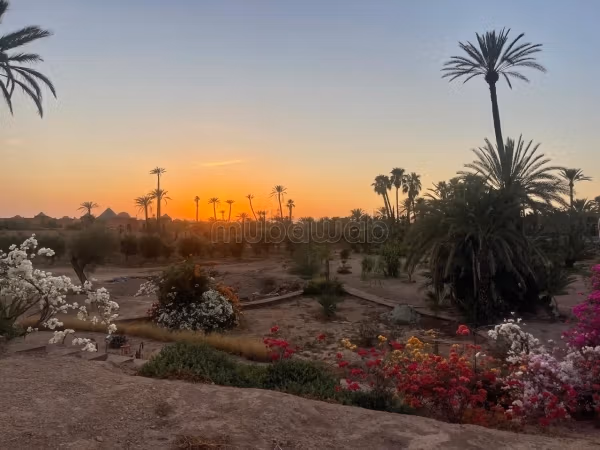 Terrain Bab Atlas Palmeraie Marrakech