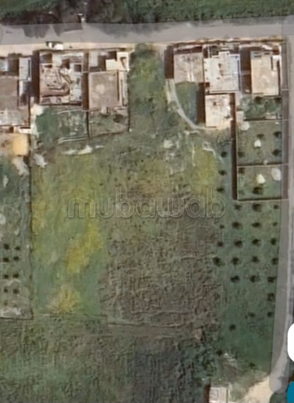 Residential land in Masrati 2