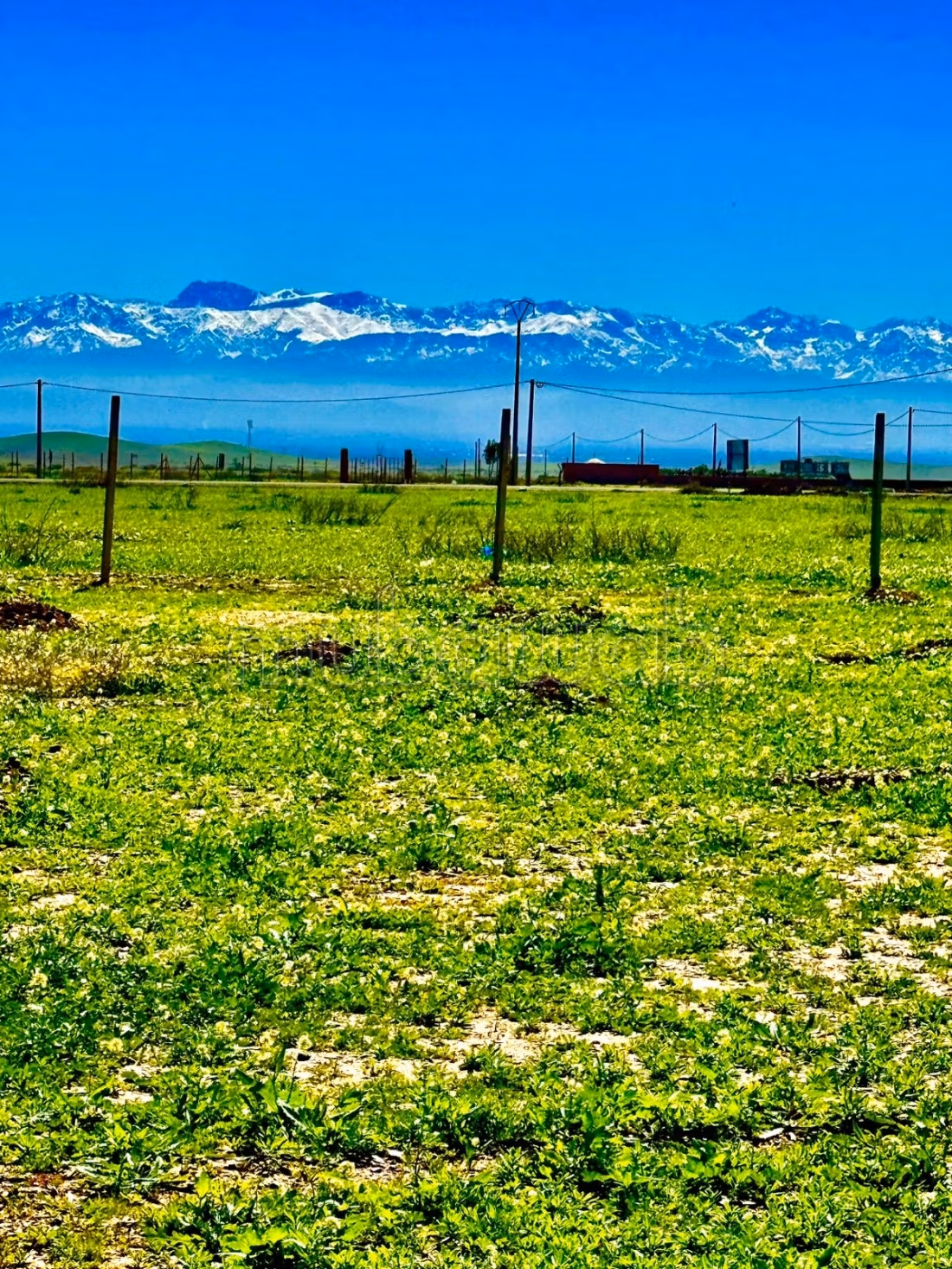 Exceptional land in Marrakech Bourrous Road