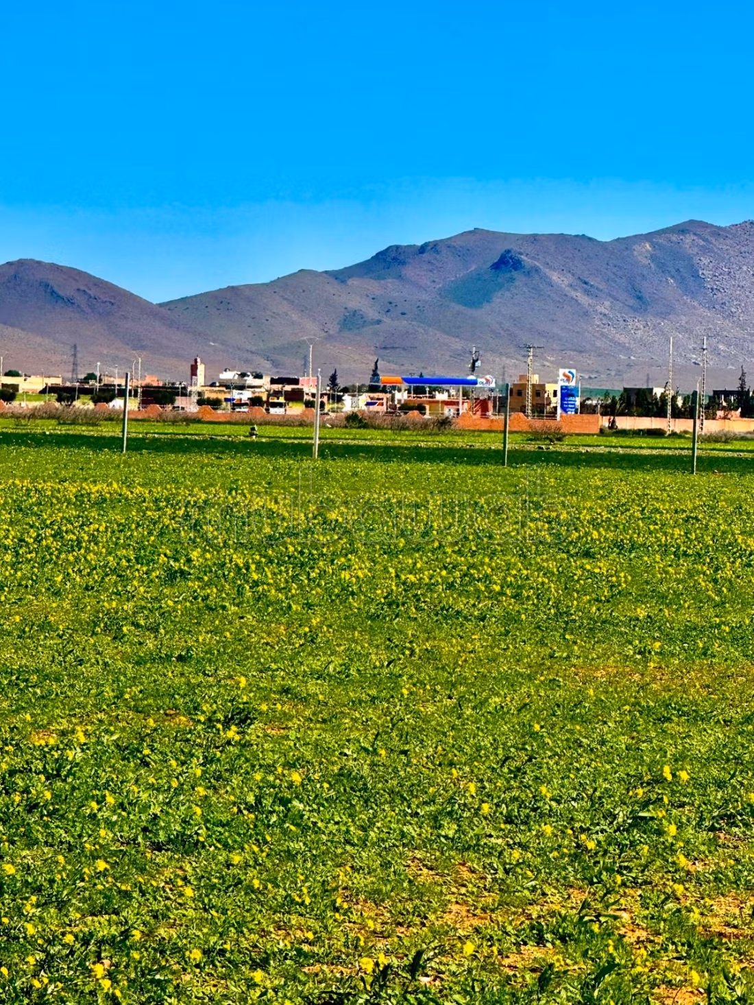 Exceptional land in Marrakech Bourrous Road