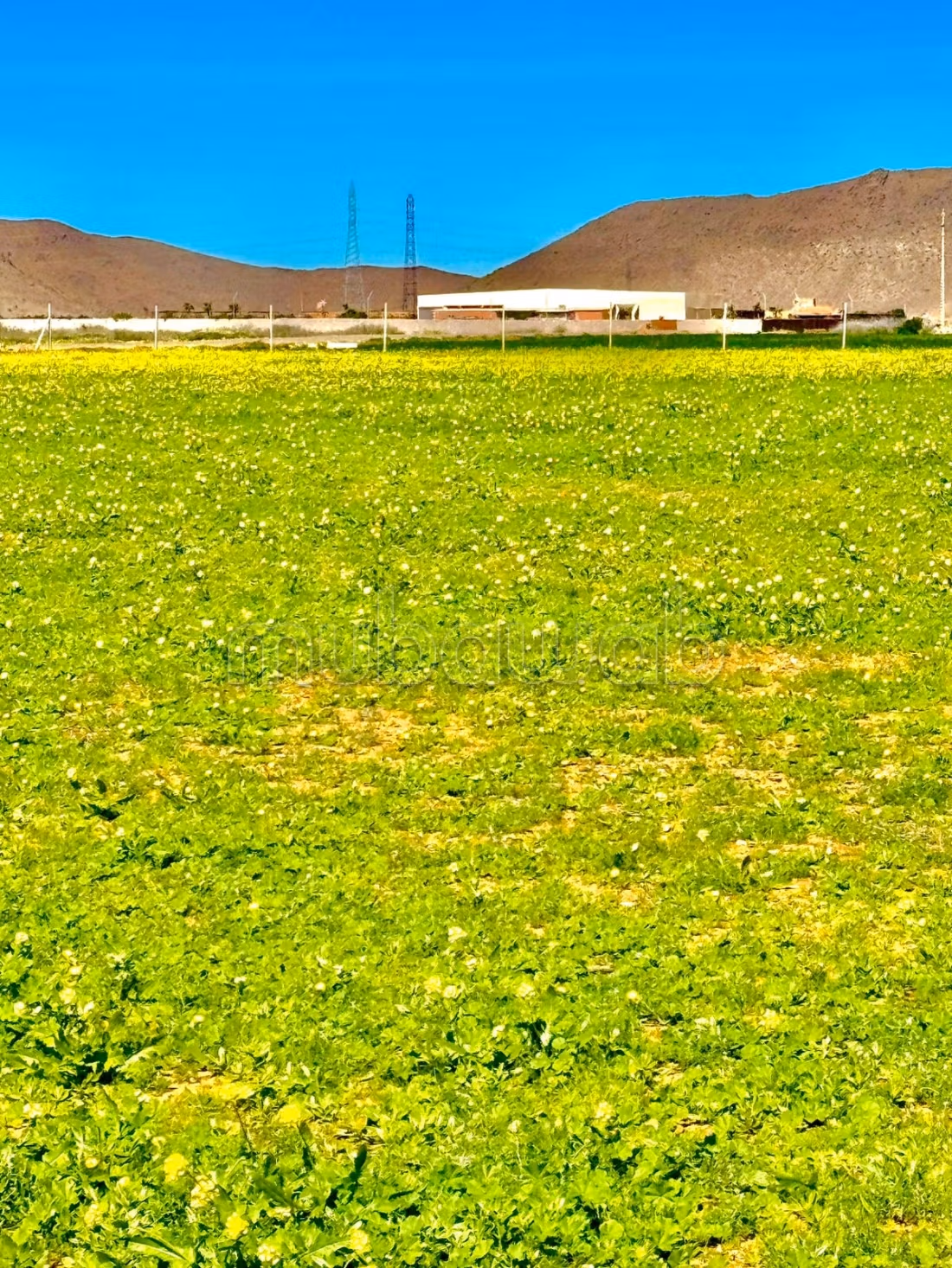 Exceptional land in Marrakech Bourrous Road
