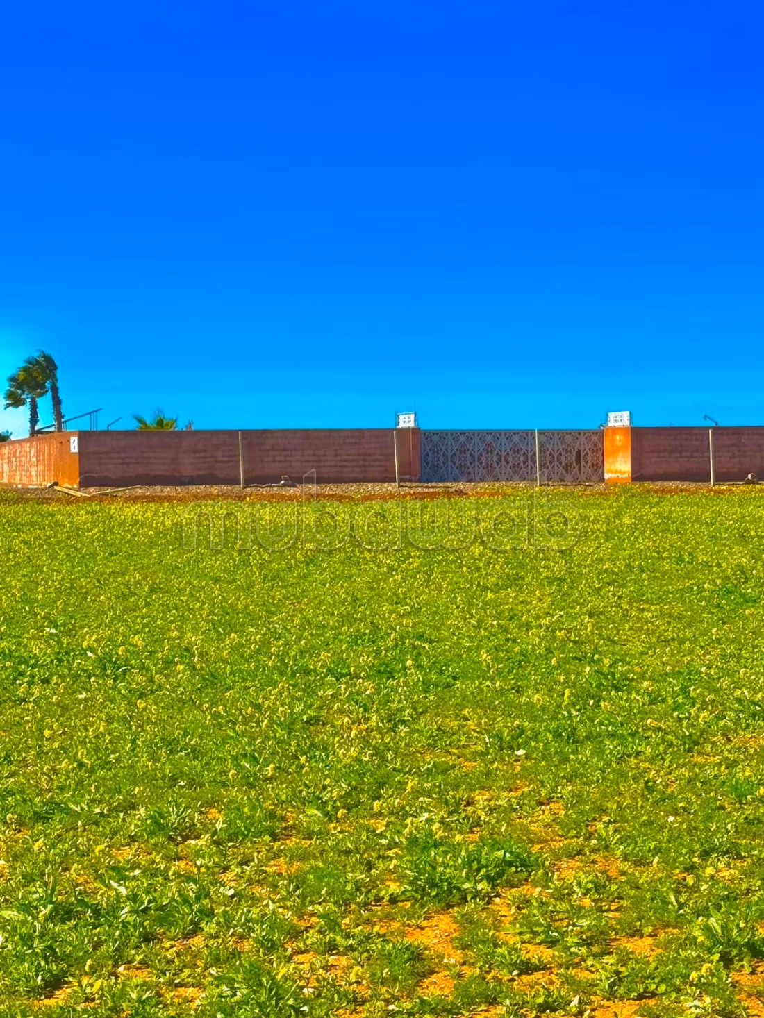 Exceptional land in Marrakech Bourrous Road