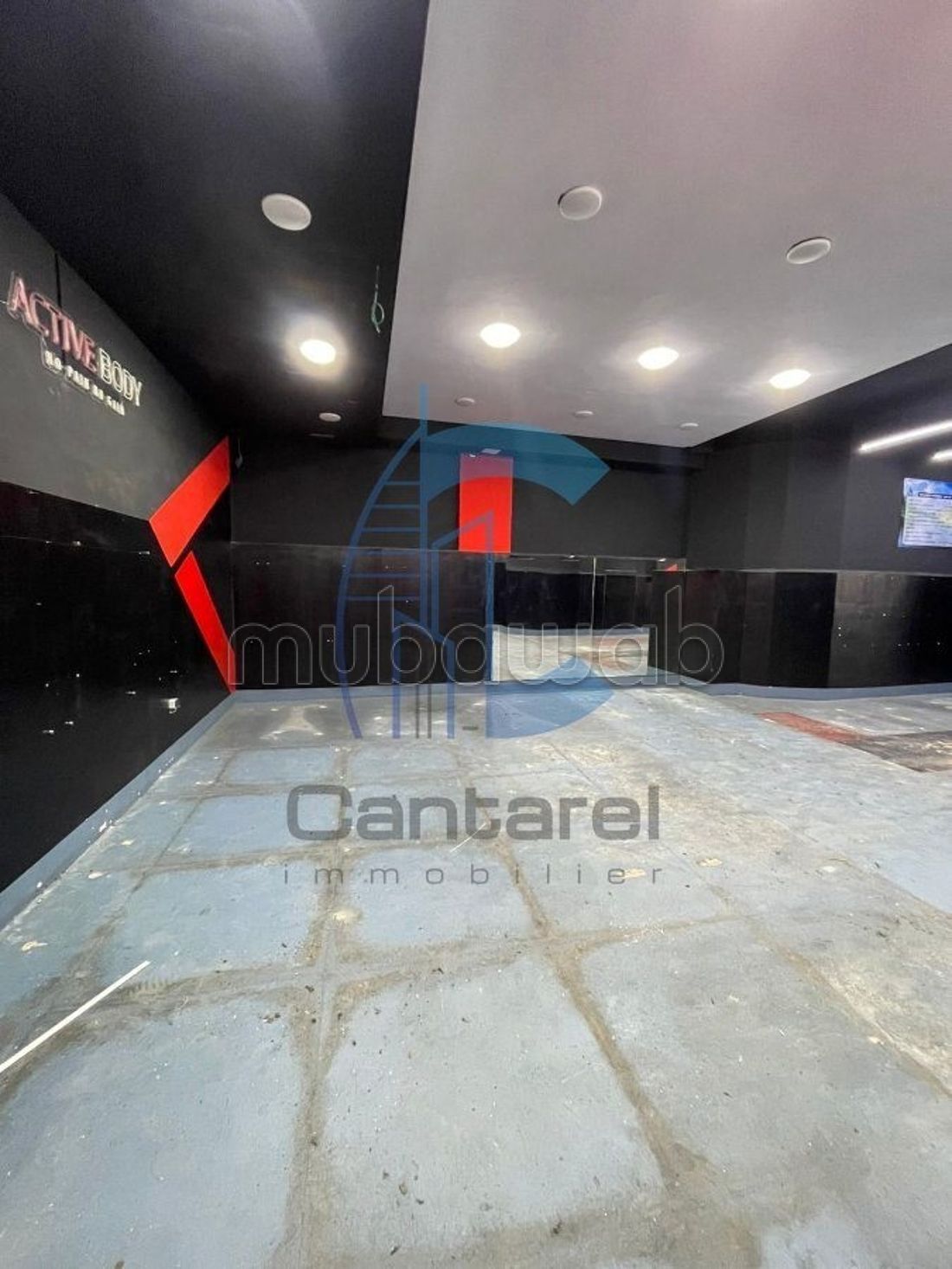 Location local les princesses