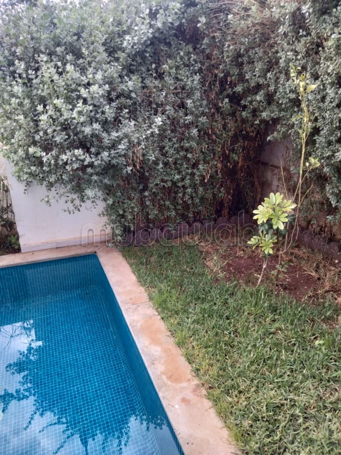 Rez de jardin de 178M² avec piscine privée