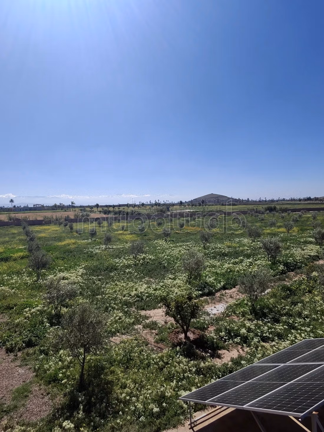 Ettaro con villa intestata vista Atlas strada per Fès