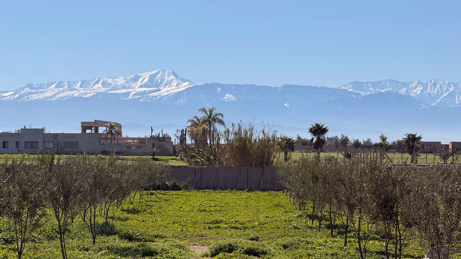 Ettaro con villa intestata vista Atlas strada per Fès