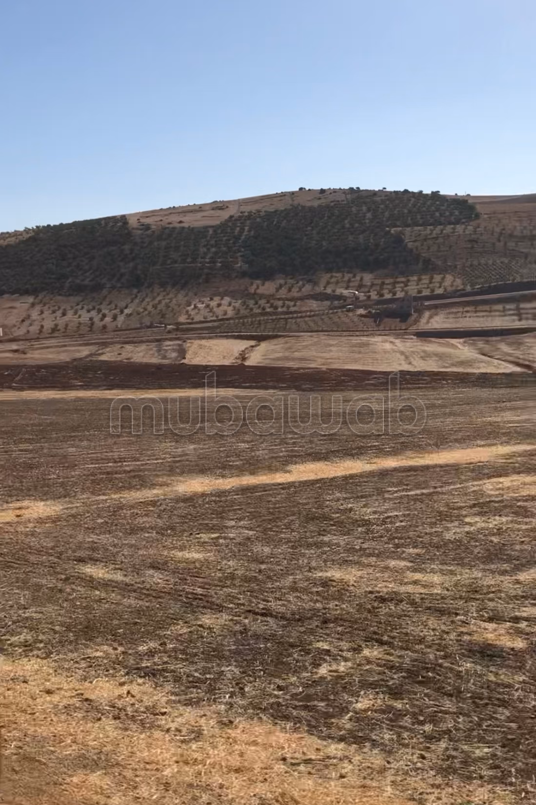 Sells agricultural land