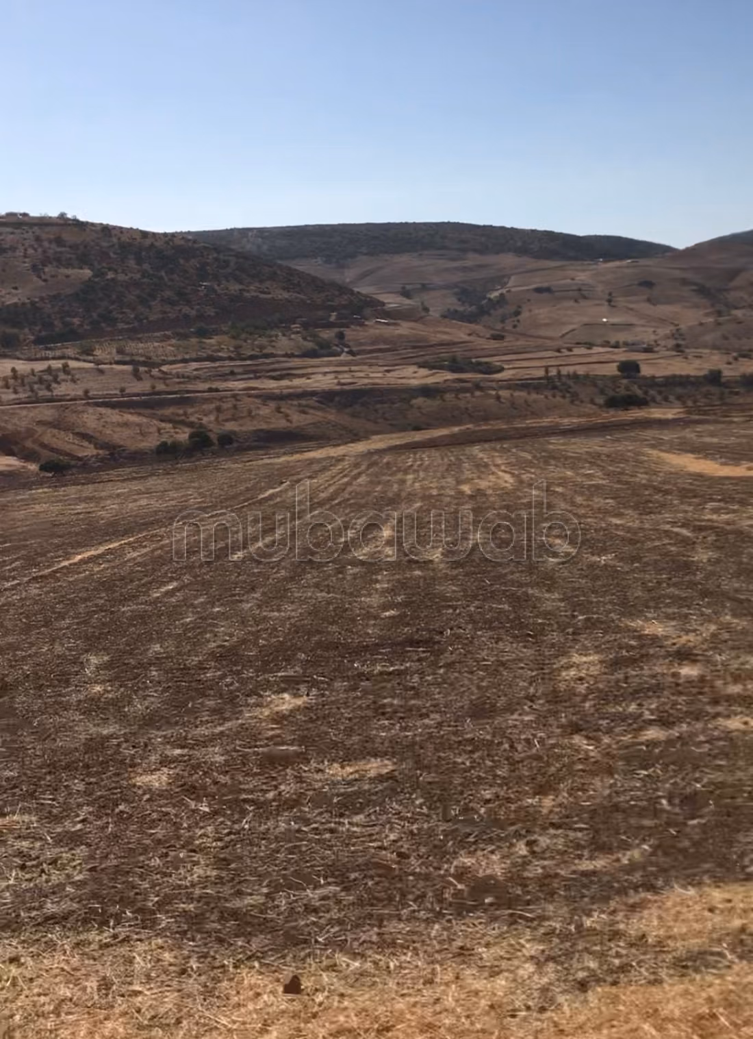 Sells agricultural land