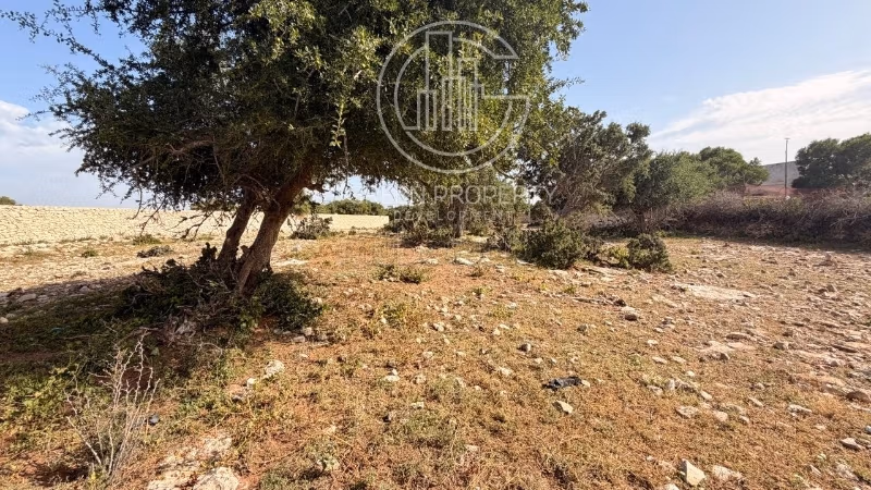 À vendre: magnifique terrain titré de 1000m2