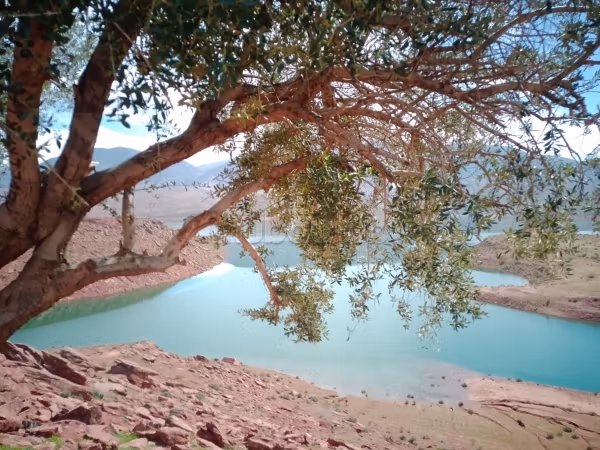 Terrain sur l'eau Bin Ouidan