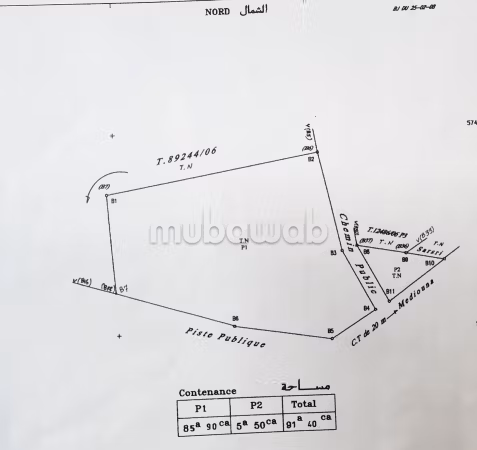 Oportunidad Estratégica o Madiouna