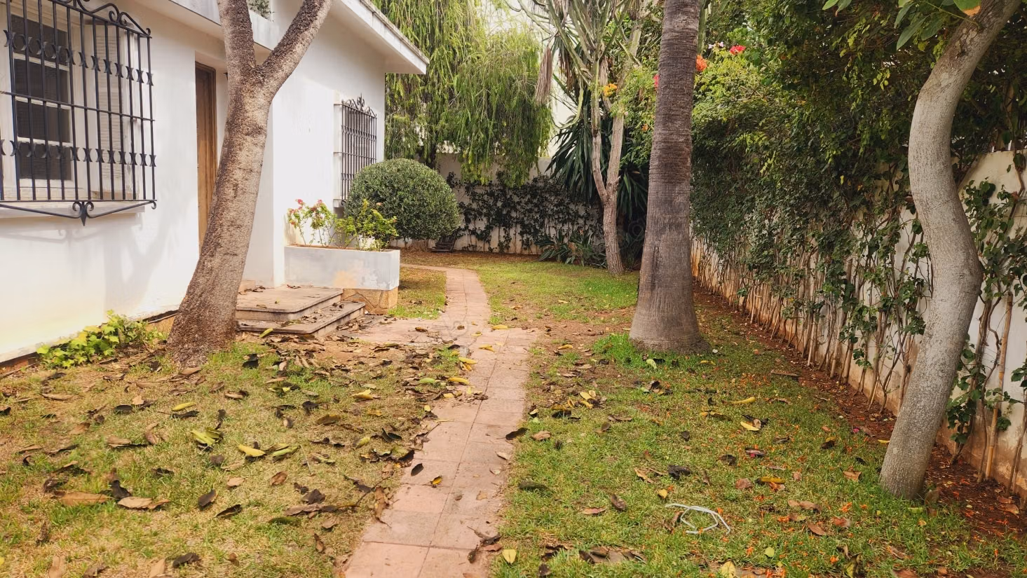 Villa style contemporaine à louer au cil
