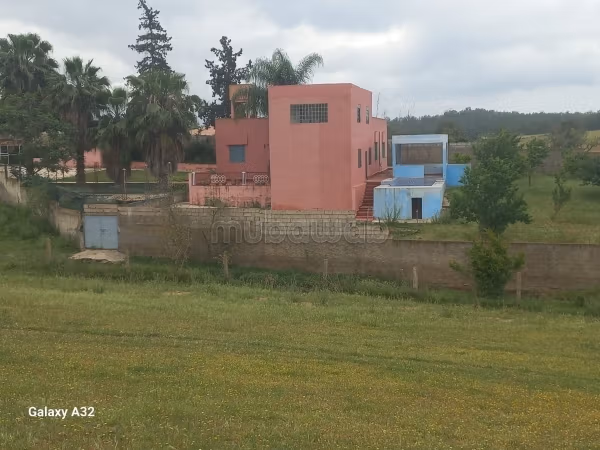 Agréable ferme à vendre à Sidi Allal El Bahraoui. Superficie 200000 m². Sécurisé 24/24