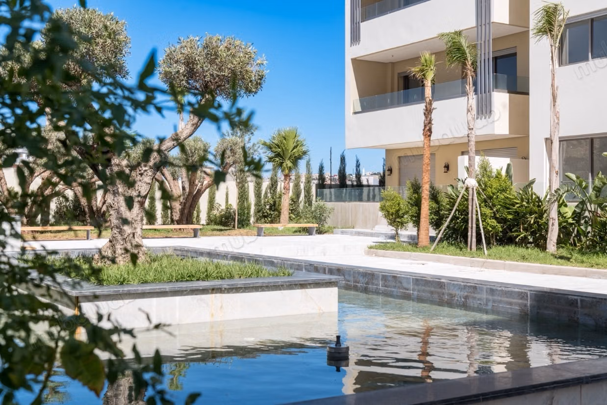Studio 1 bedroom with terrace