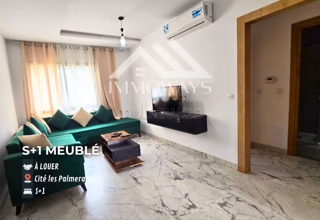 S1 Arredato da Affittare – Città Le Palmeraies