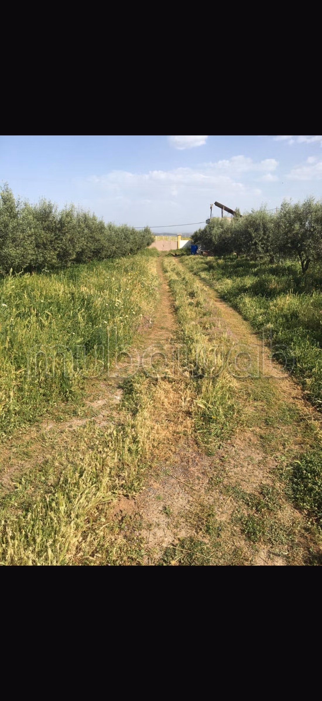 Granja en venta en ubicación excelente