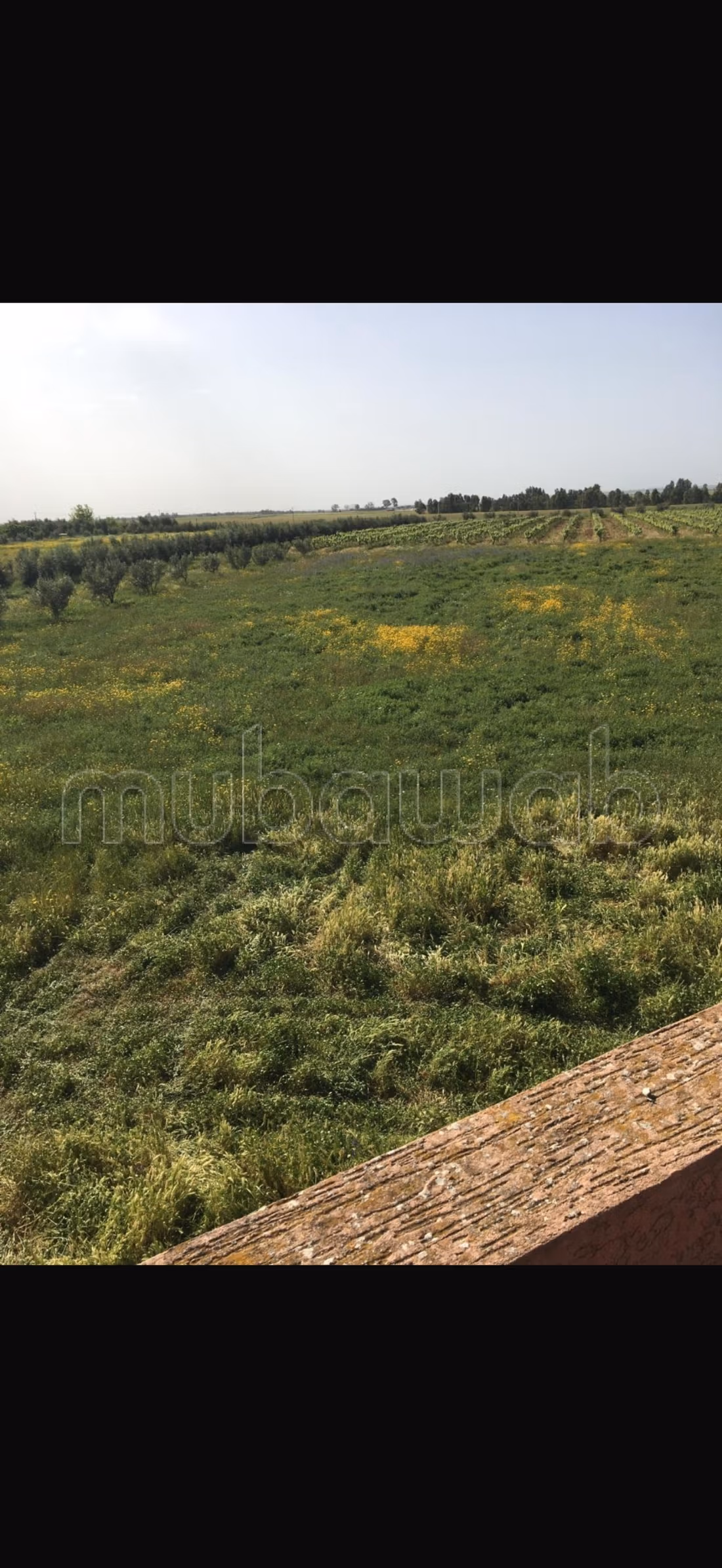 Granja en venta en ubicación excelente