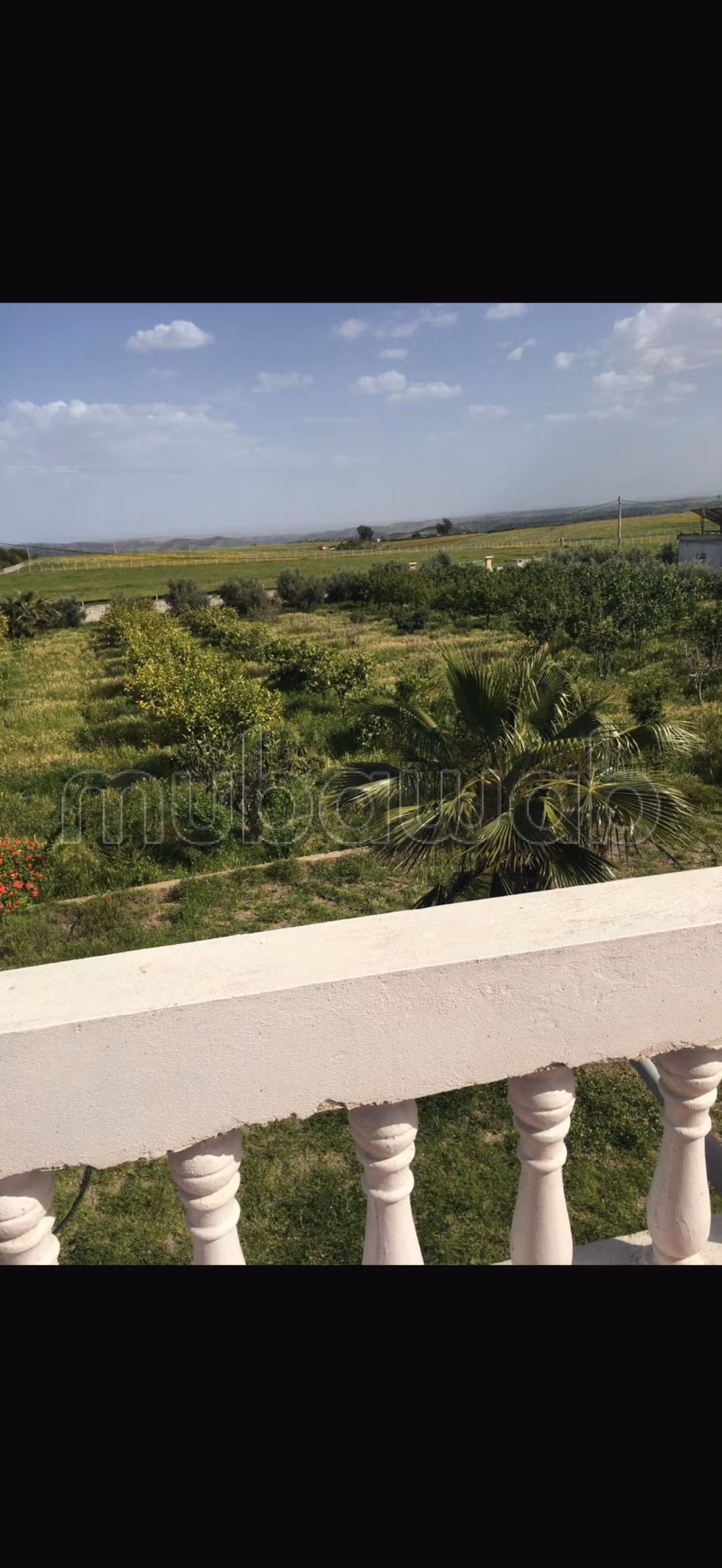 Granja en venta en ubicación excelente