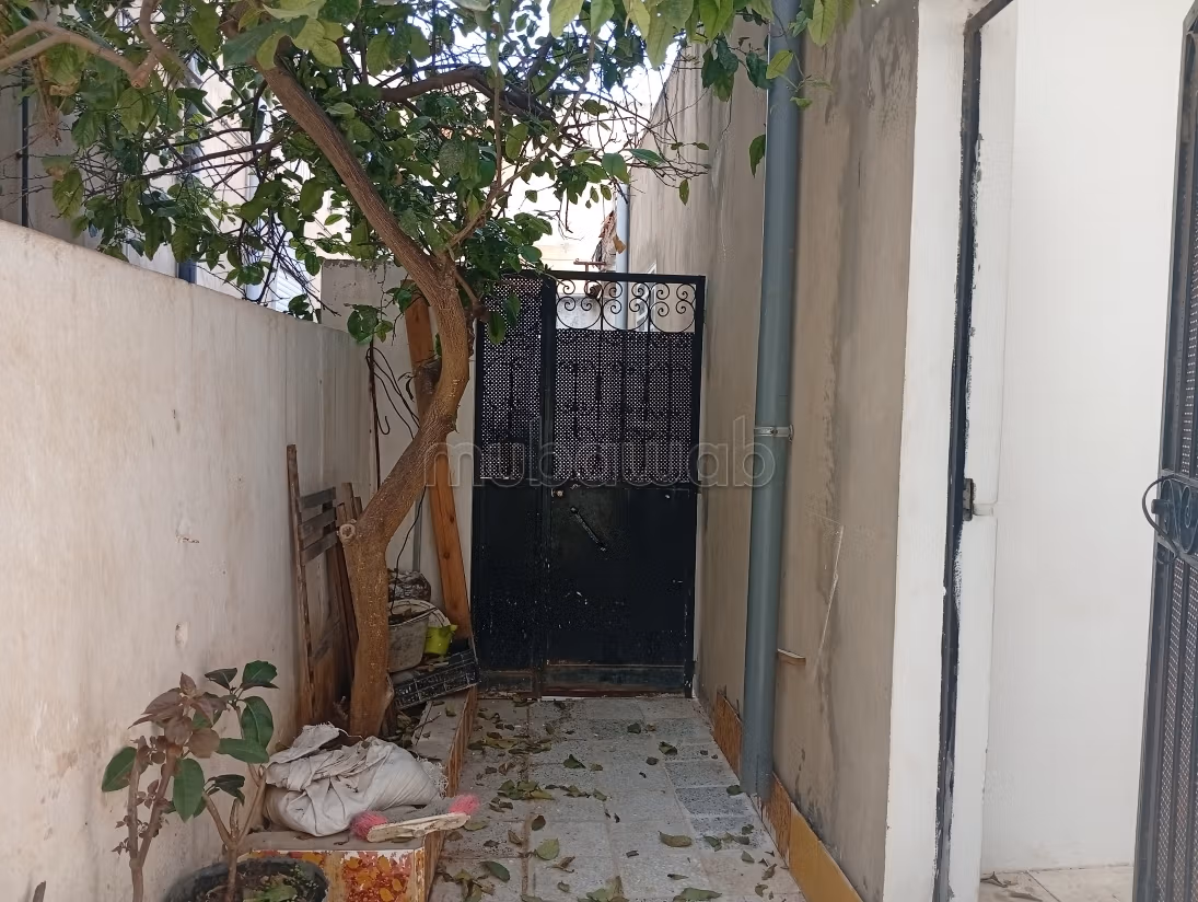 Chemin de blé d'Al Waha, Al Marsa
