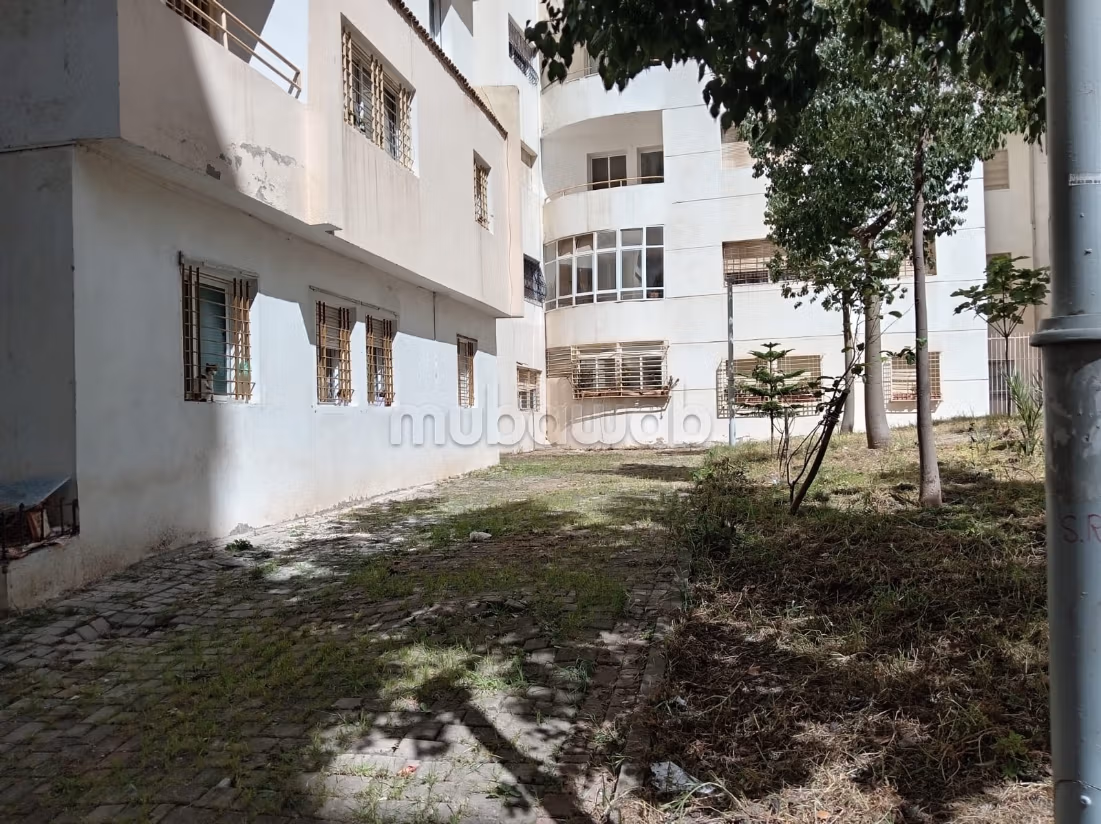 Appartement 86 m² à Iberie — 11