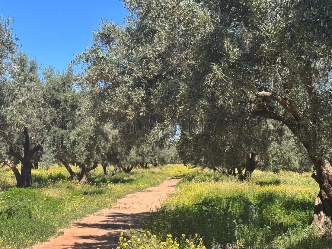 Ferme d’exception route de fez