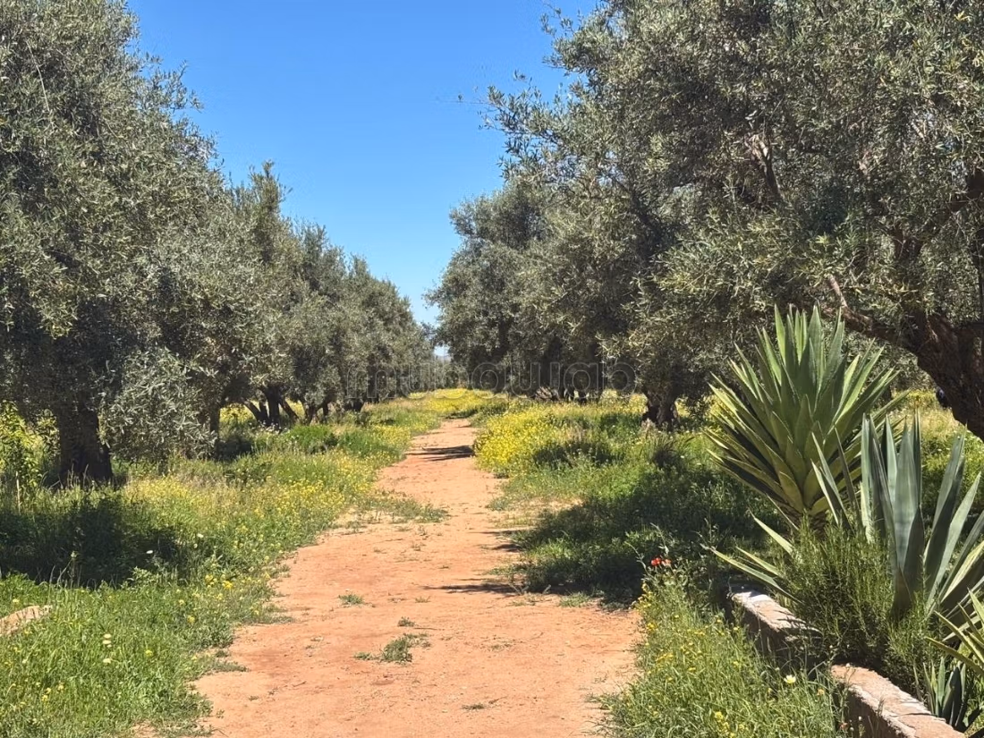 Ferme d’exception route de fez