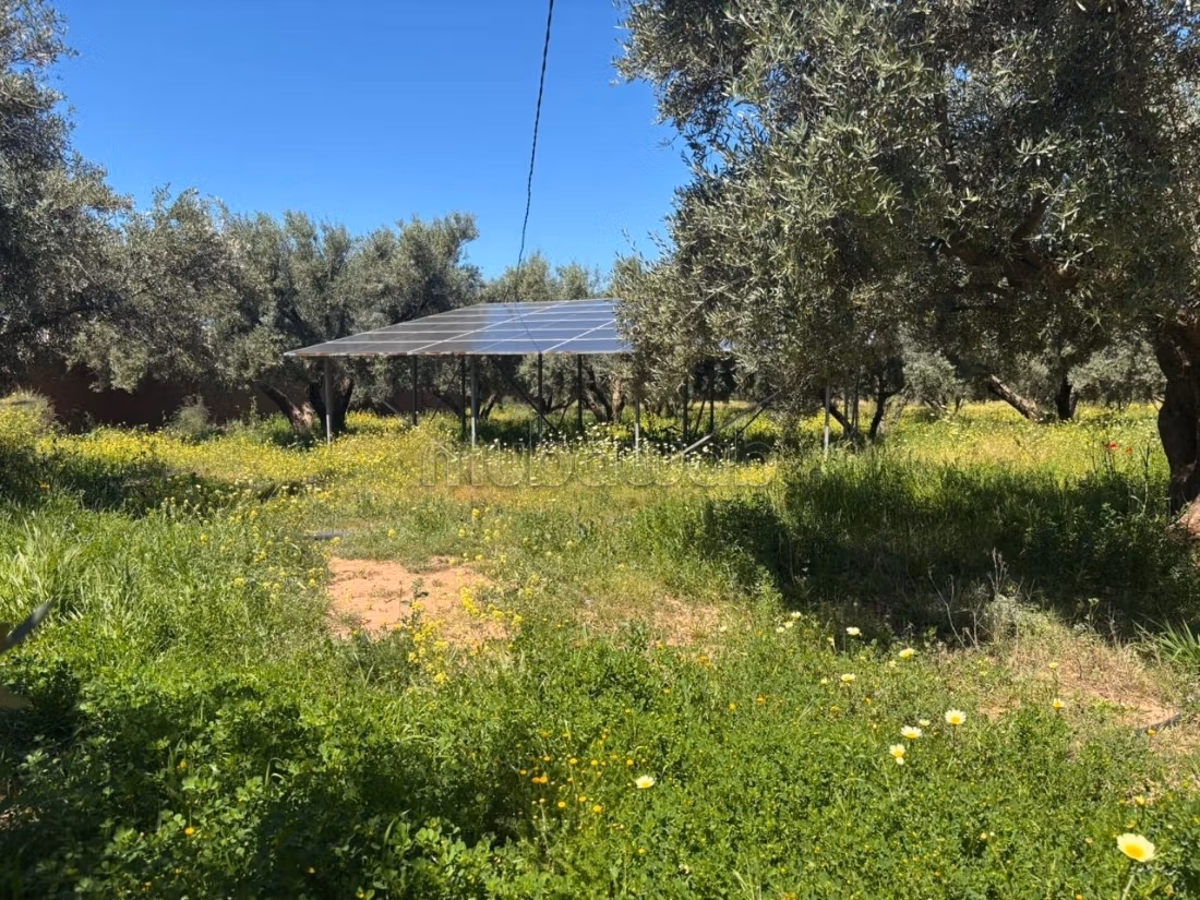 Ferme d’exception route de fez