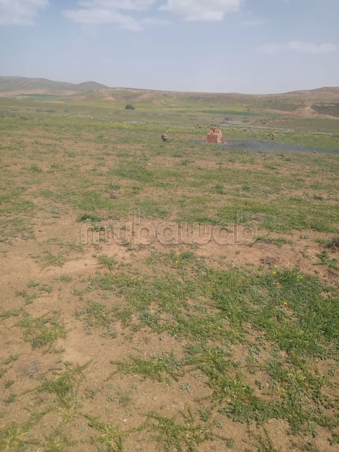 Terrain agricole non aménagé à vendre أرض بورية - Prikaz 2