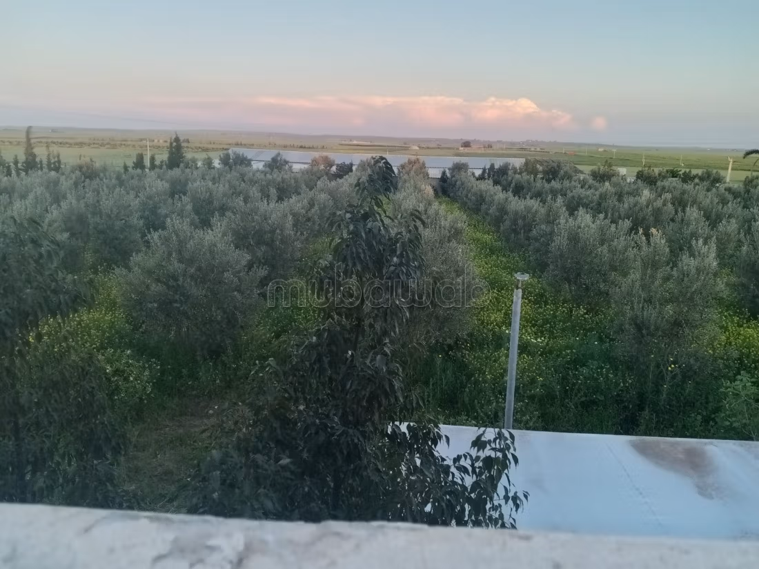 Fattoria di lusso