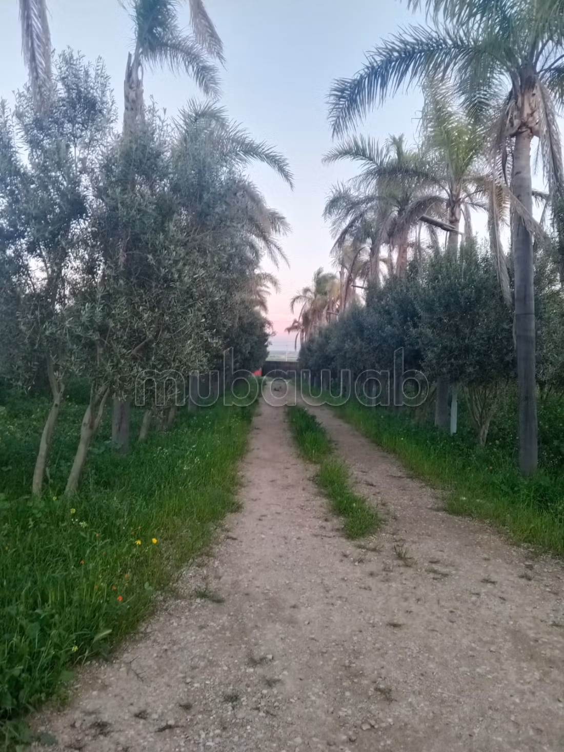 Fattoria di lusso