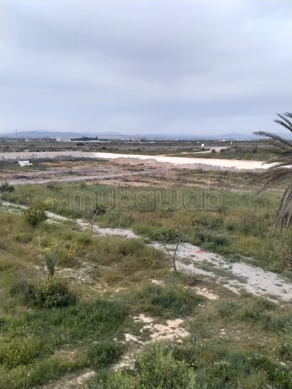 A vendre 800 M2 côté mer à 3 km de Yassine Hammame