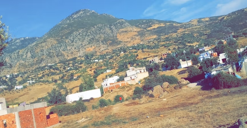 Vente maison à Chefchaouen sans reparation. 1 Pièce