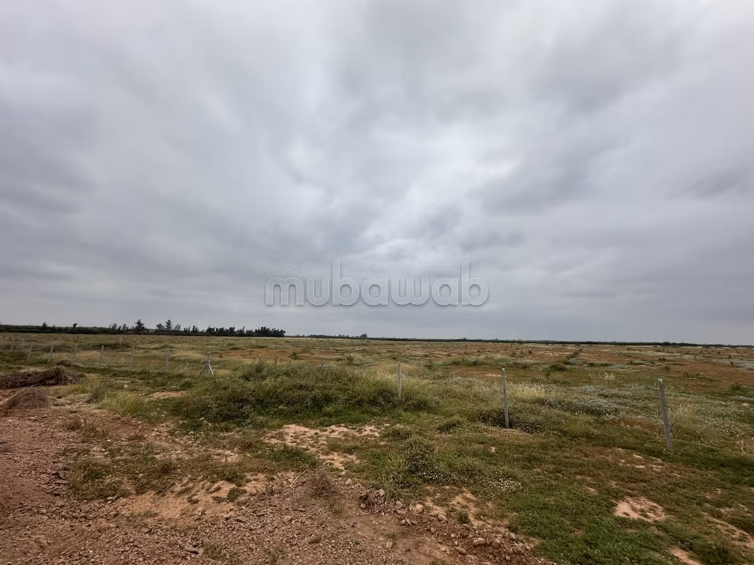 Terrain à la vente à Ennakhil Palmeraie. 
Surface de 100000 m²